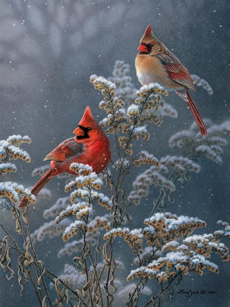 Winter Cardinals On Goldenrod Larry Zach Wildlife Art Prachtige