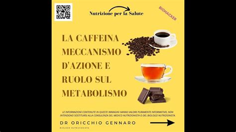 La Caffeina Meccanismo D Azione E Ruolo Sul Metabolismo Youtube