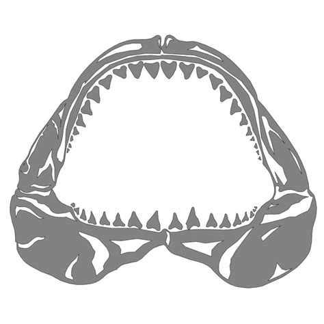 Shark Jaws Vector