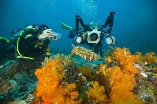 Bunaken Diving Trip (1 day) with Manado Safari Tours