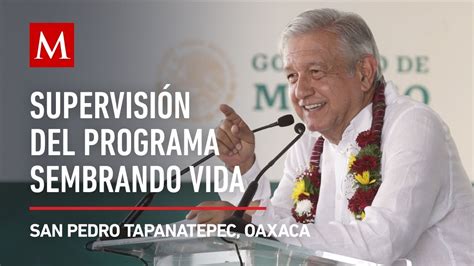 Amlo Encabeza El Programa Sembrando Vida En Oaxaca Youtube