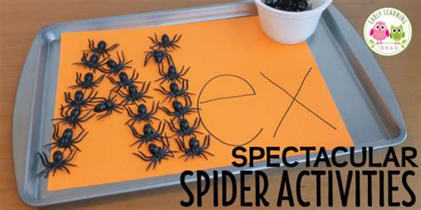 Spectacular Spider Activities Spidery Learning Activities Early