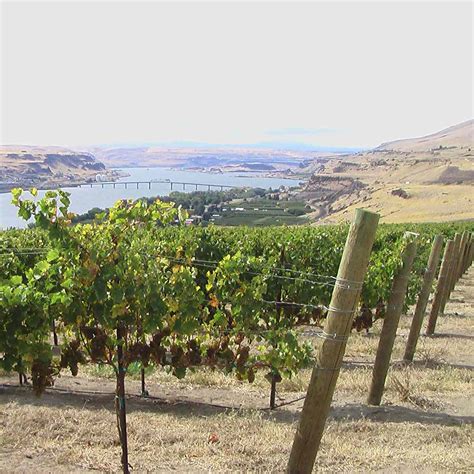 13 Best Washington Wineries