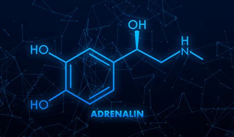 Adrenaline or adrenalin, epinephrine neurotransmitter molecule ...