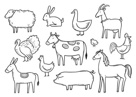 How To Draw Farm Animals For Kids