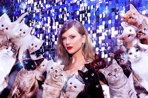 Taylor Swift gets it: Cats are better than (some) men | Salon.com