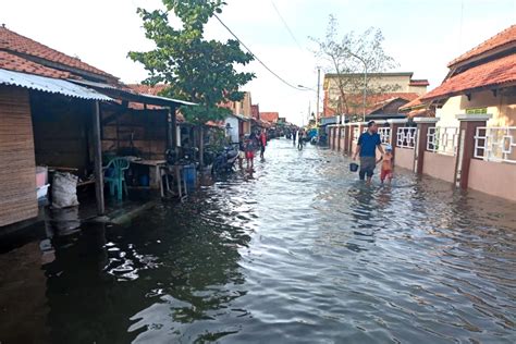 Banjir Rob Merendam Enam Desa Di Brebes Ribuan Kk Terdampak Minanews Net