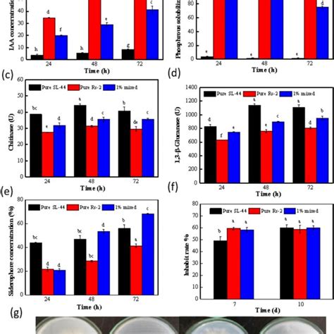 Plant Growth Promoting And Biological Control Properties A Iaa