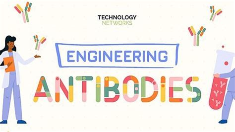 Engineering Antibodies | Technology Networks