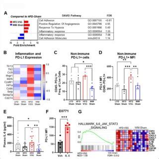 The tumor microenvironment displayed increased inflammation and immune ...