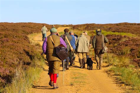 The Top Simulated Game Shoots In The Uk Gunsonpegs