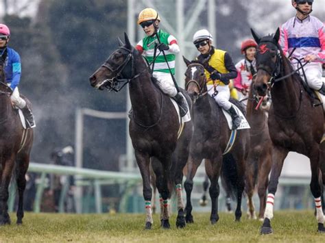 【メイクデビュー中山5rレース後コメント】ポルカリズム津村明秀騎手ら 競馬ニュース Netkeiba