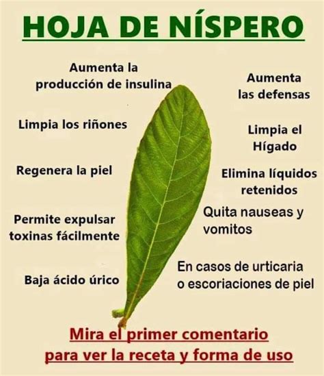 Pin By Adriana Baker On Remedios Caseros Y Naturales Herbs For