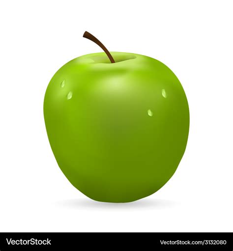 Green apple Royalty Free Vector Image - VectorStock