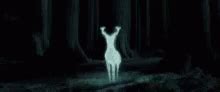 Harry Potter Patronus Charm GIF – Harry Potter Patronus Charm Deer ...