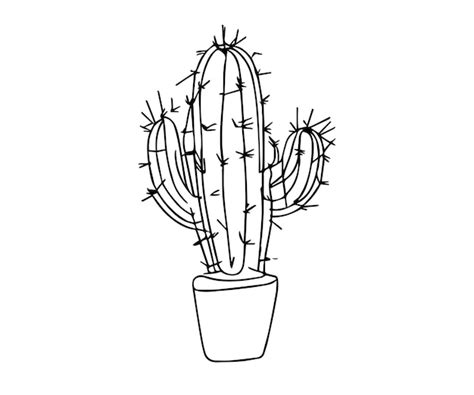 Ilustración De Vector De Cactus Vector Premium