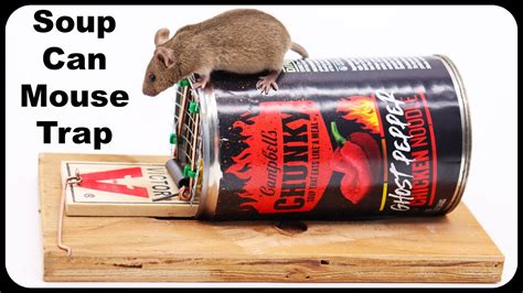 How To Make A Live Catch Mouse Trap Using A Soup Can And A Snap Trap