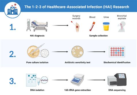 The 1-2-3 of Healthcare-Associated Infection (HAI) Research | BioRender ...