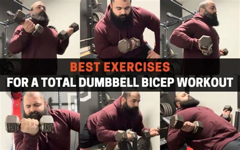 8 Best Exercises for a Dumbbell Bicep Workout | PowerliftingTechnique.com