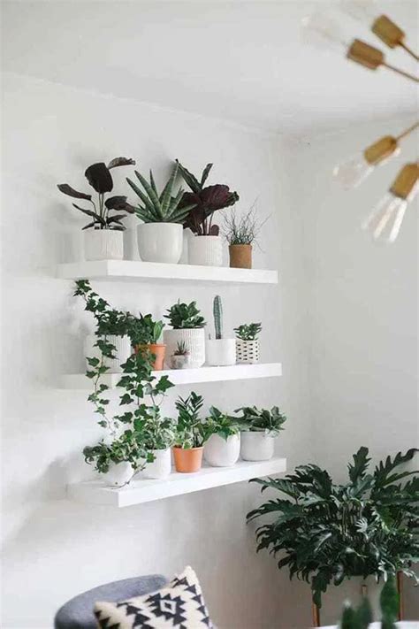 Gợi ý Plant Decor For Room Những ý Tưởng Trang Trí Phòng Với Cây Xanh