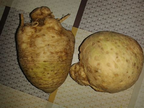 Reteta De Acasa Supa Crema De Legume