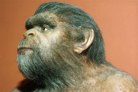 Archaeologists Discover Possible Homo Erectus Footprints In East Africa