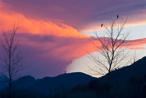 Volcano erupts in Chile - Photos - The Big Picture - Boston.com