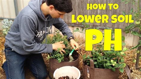 How To Lower Soil Ph In Potted Plants 7 Step Guides 2023