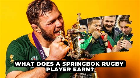 What Does A Springbok Rugby Player Earn Youtube