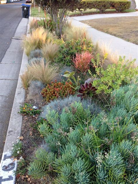 Sidewalk | Sidewalk, Plants, Outdoor