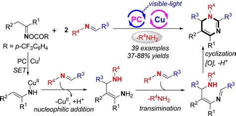 Access To Fully Substituted Dihydropyrimidines Via Dual Copper