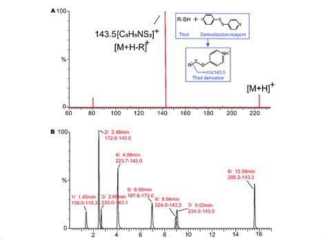 Mass Spectrometry MS MS Spectrum Of The Derivatized Thiols A