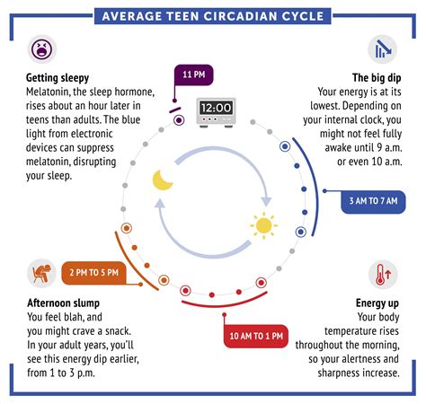 Biological Rhythm Is Defined As Cheap Sale Jkuatacke