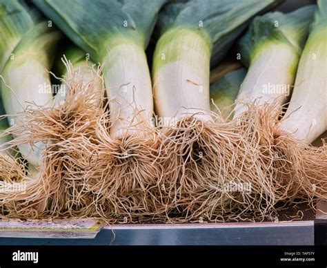 Leek Market Hi Res Stock Photography And Images Alamy