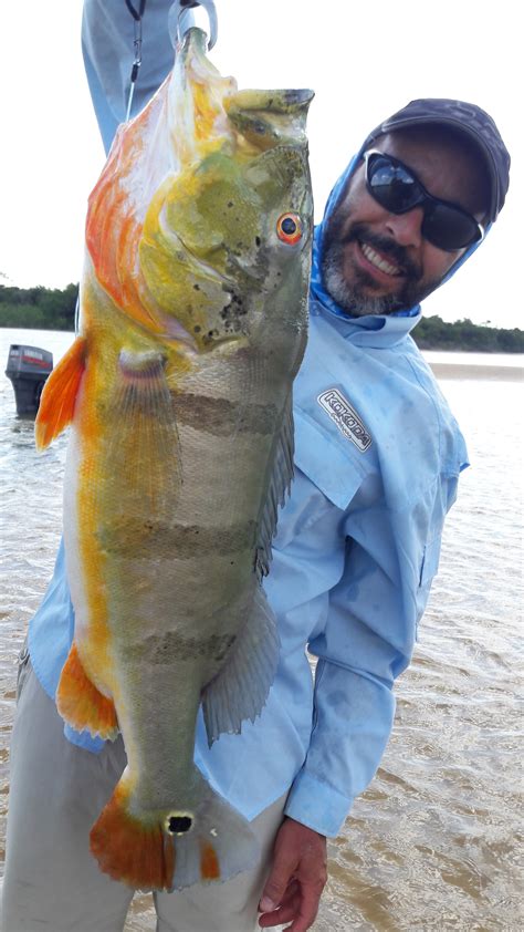 Peacock Bass Fishing, Peacock Bass Guide, Peacock Bass Fishing Guide