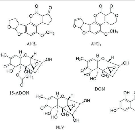 Chemical Structure Of Aflatoxin B Afb Aflatoxin B Afb