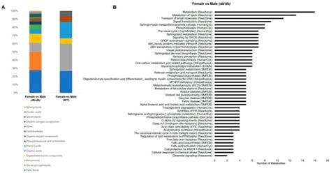 Metabolites Free Full Text Sex Modifies The Impact Of Type 2