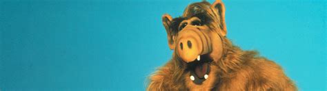 Alf Die Kultserie Aus Den 80ern Rtl