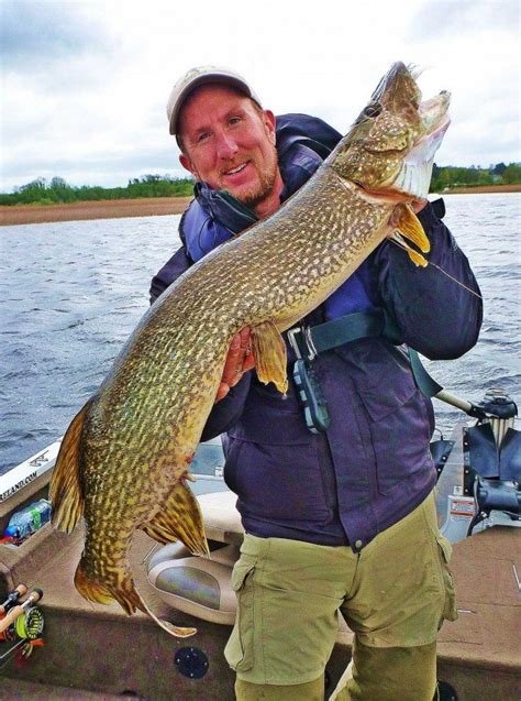 May update – Big Pike on fly! | Guided-Fishing.com