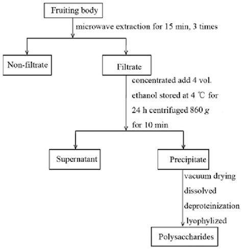 Flow Chart Of Extraction For Phellinus Igniarius Polysaccharides Download Scientific Diagram