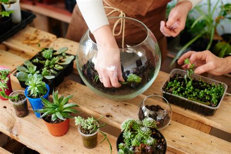 How To Make A Bottle Garden - Front Porch