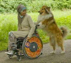 65 Animals helping humans ideas | animals, service dogs, working dogs