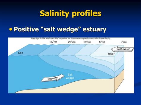 PPT - Marine Biology PowerPoint Presentation, free download - ID:9170343