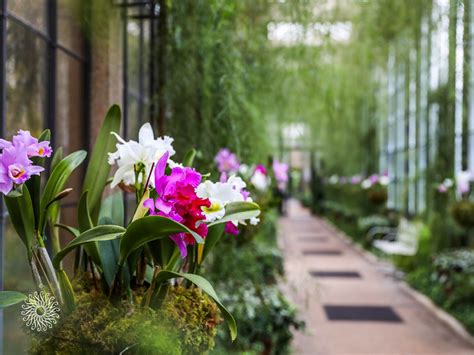 Desktop Wallpapers And Backgrounds Longwood Gardens