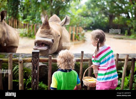 Family feeding rhino in zoo. Children feed rhinoceros in tropical safari park on summer vacation ...