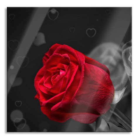 Brayden Studio Glasbild Rote Rosen Zum Valentinstag Wayfair De