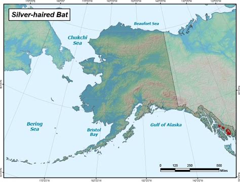 Silver-haired Bat Range Map, Alaska Department of Fish and Game