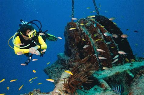 Scuba Diving & Snorkeling in Key West | Florida Keys Listings