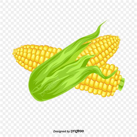 Cartoon Corn Hd Transparent Vector Cartoon Corn Corn Cartoon Corn