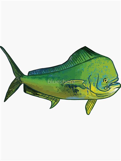 Mahi Mahi Sticker For Sale By Blueshore Redbubble